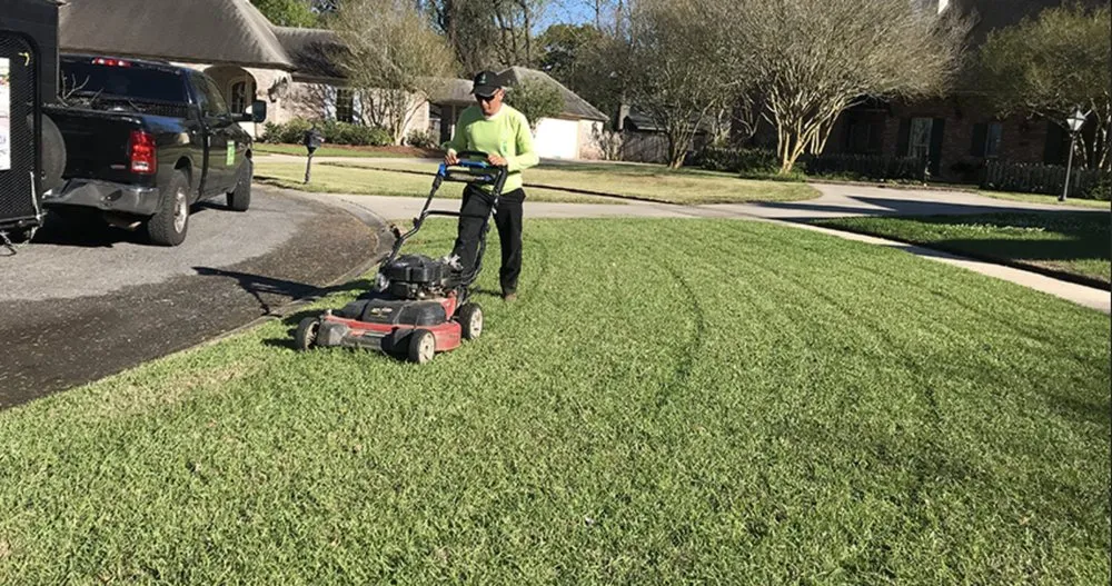 Trusted landscape installation experts serving Baton Rouge, LA - Lions Landscaping