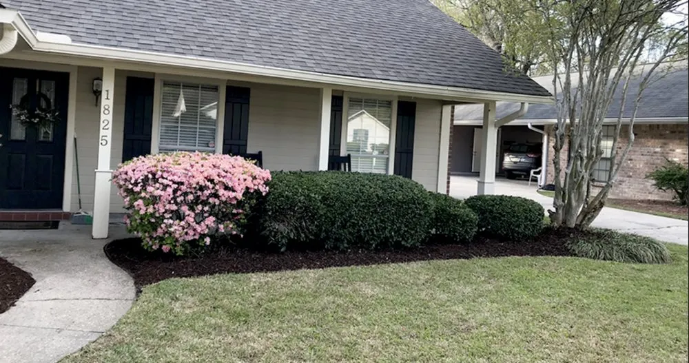 Professional yard cleanup service in Baton Rouge, LA - Lions Landscaping