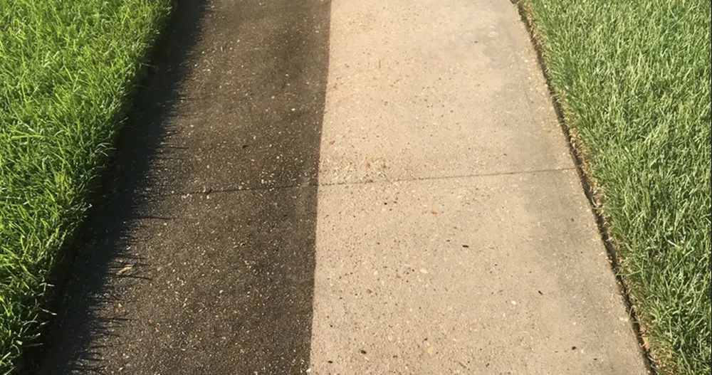 Affordable landscaping services for homes in Baton Rouge, LA by Lions Landscaping