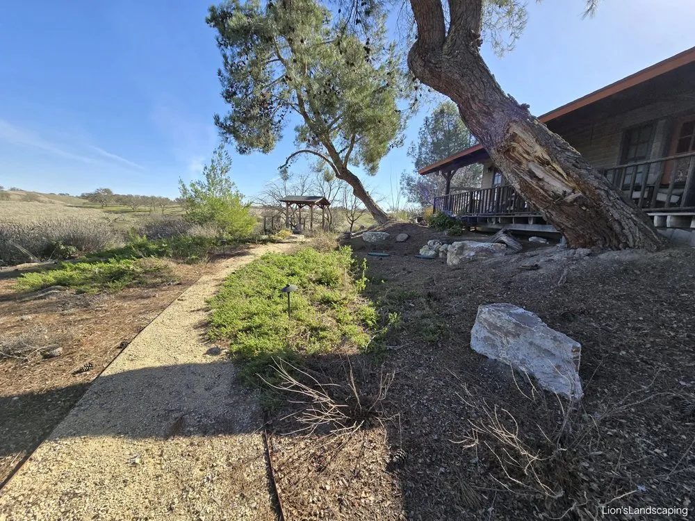 Local landscape design in Paso Robles, CA - Lion's Landscaping