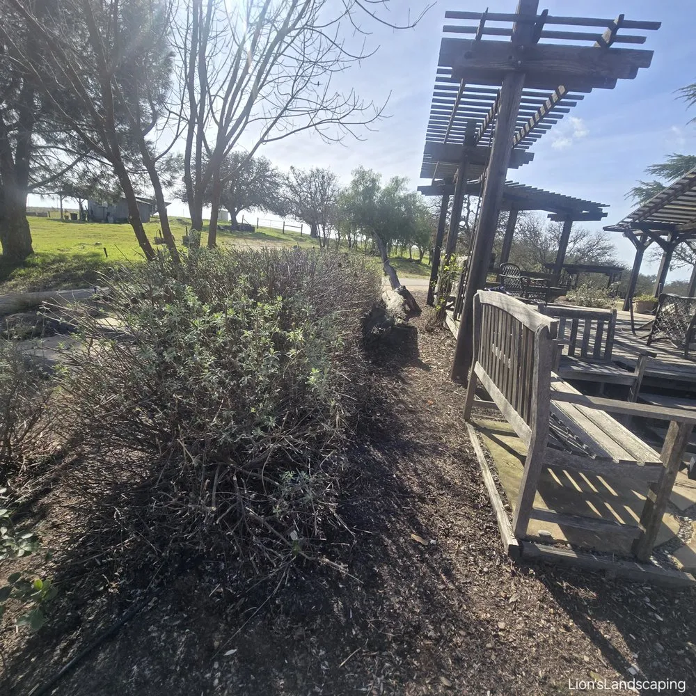 Custom landscape installation in Paso Robles, CA - Lion's Landscaping