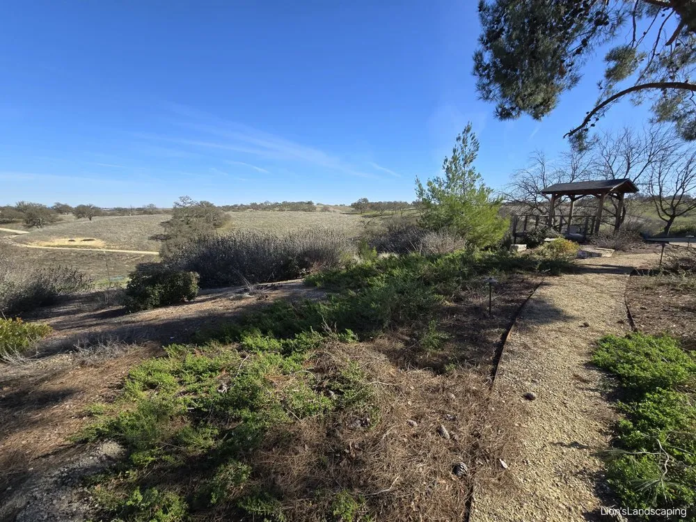 Trusted yard maintenance in Paso Robles, CA by Lion's Landscaping