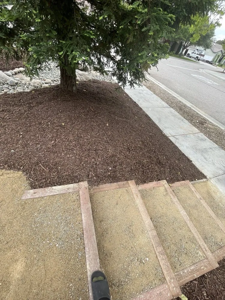Reliable landscape installation for homes in Paso Robles, CA by Lion's Landscaping