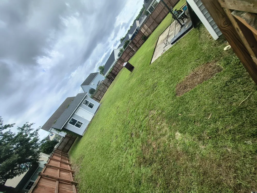 Affordable yard cleanup service for year-round maintenance in Summerville, SC by Lions Lawn Care Services