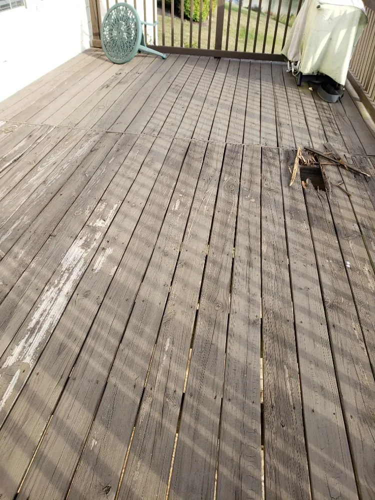 Custom yard maintenance experts serving Fishers, IN - Lions Lawn service