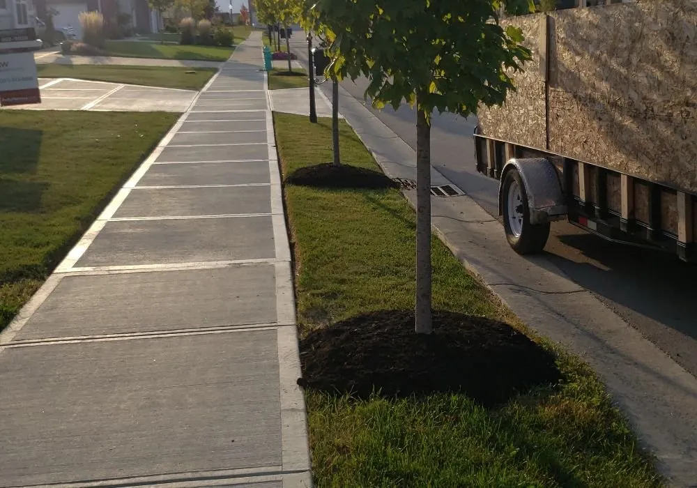 Expert landscaping services in Fishers, IN by Lions Lawn service