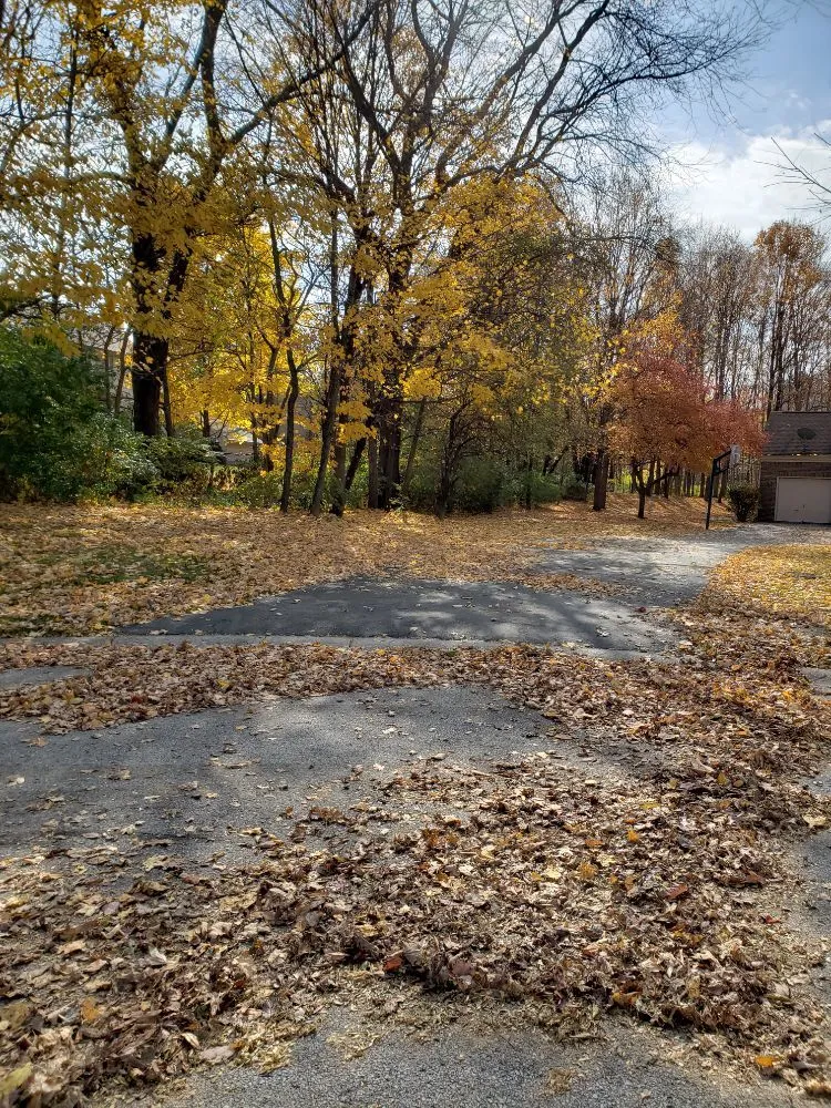 Affordable yard maintenance for outdoor upgrades across Fishers, IN - Lions Lawn service