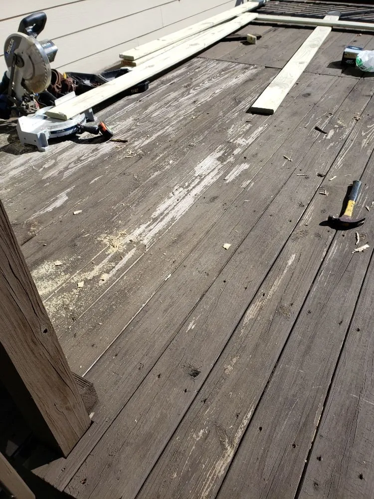 Professional landscape design with custom design across Fishers, IN - Lions Lawn service