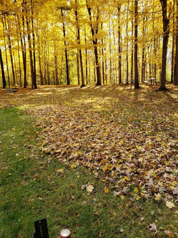 Expert lawn mowing service experts serving Fishers, IN - Lions Lawn service