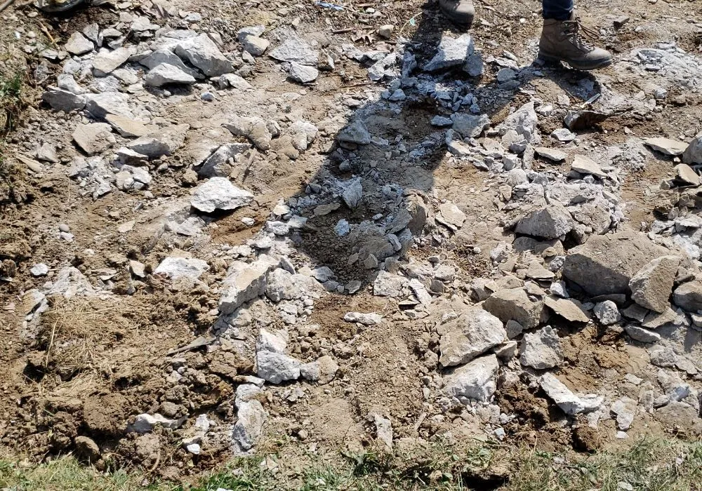 Affordable landscape installation in Fishers, IN - Lions Lawn service