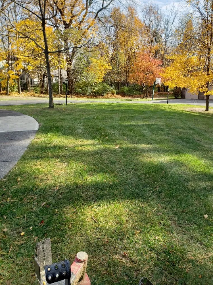 Trusted lawn mowing service with custom design across Fishers, IN - Lions Lawn service