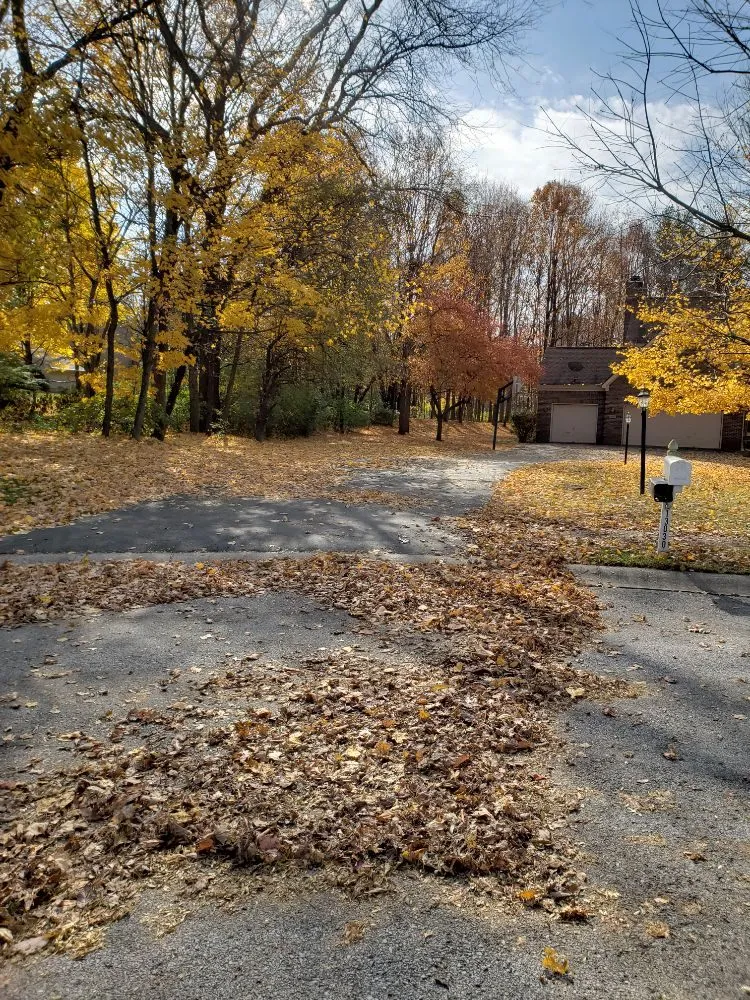 Affordable outdoor landscaping experts serving Fishers, IN - Lions Lawn service