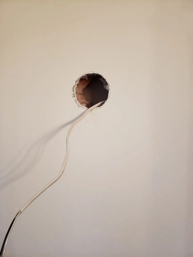 Reliable outdoor landscaping for homes in Fishers, IN by Lions Lawn service