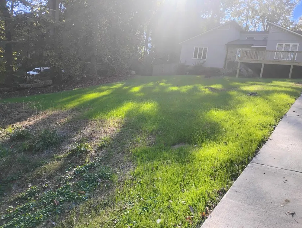 Reliable outdoor landscaping experts serving Sophia, NC - Lions lawn services