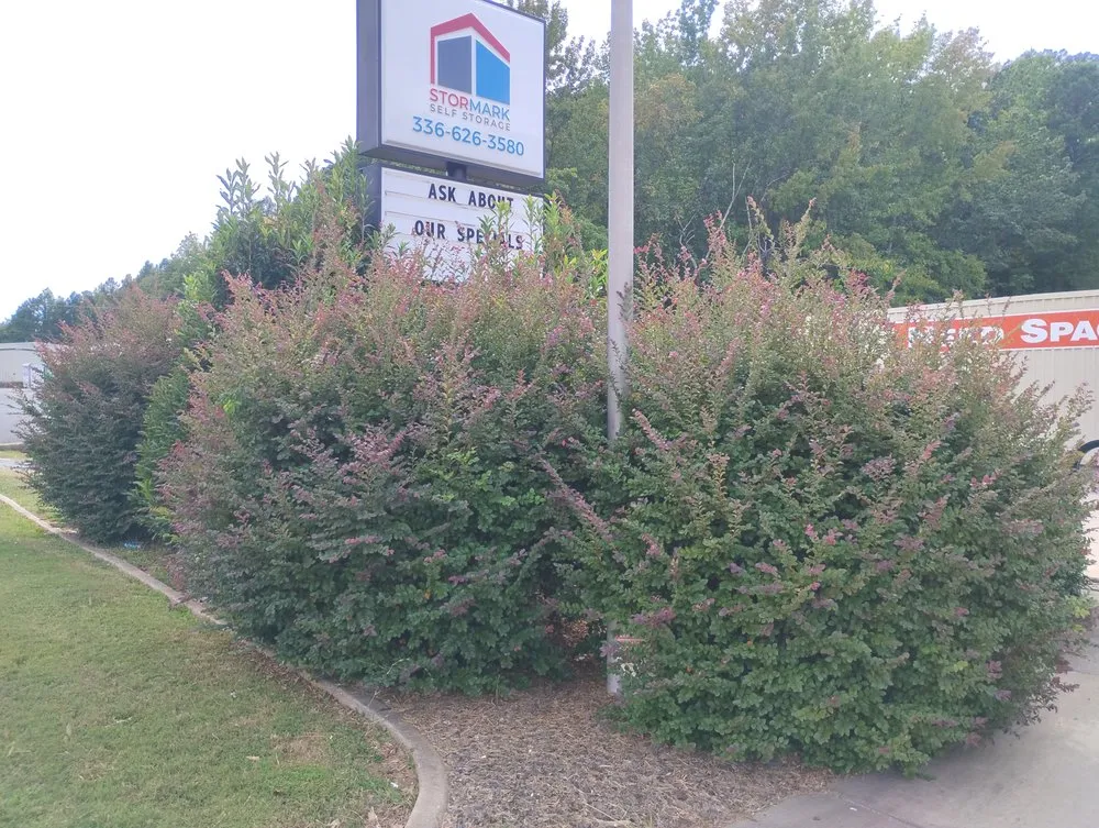 Top-rated residential landscaping for year-round maintenance across Sophia, NC - Lions lawn services