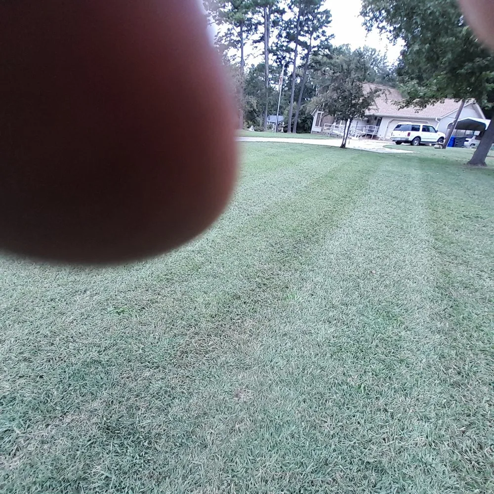 Custom residential landscaping for year-round maintenance in Sophia, NC by Lions lawn services
