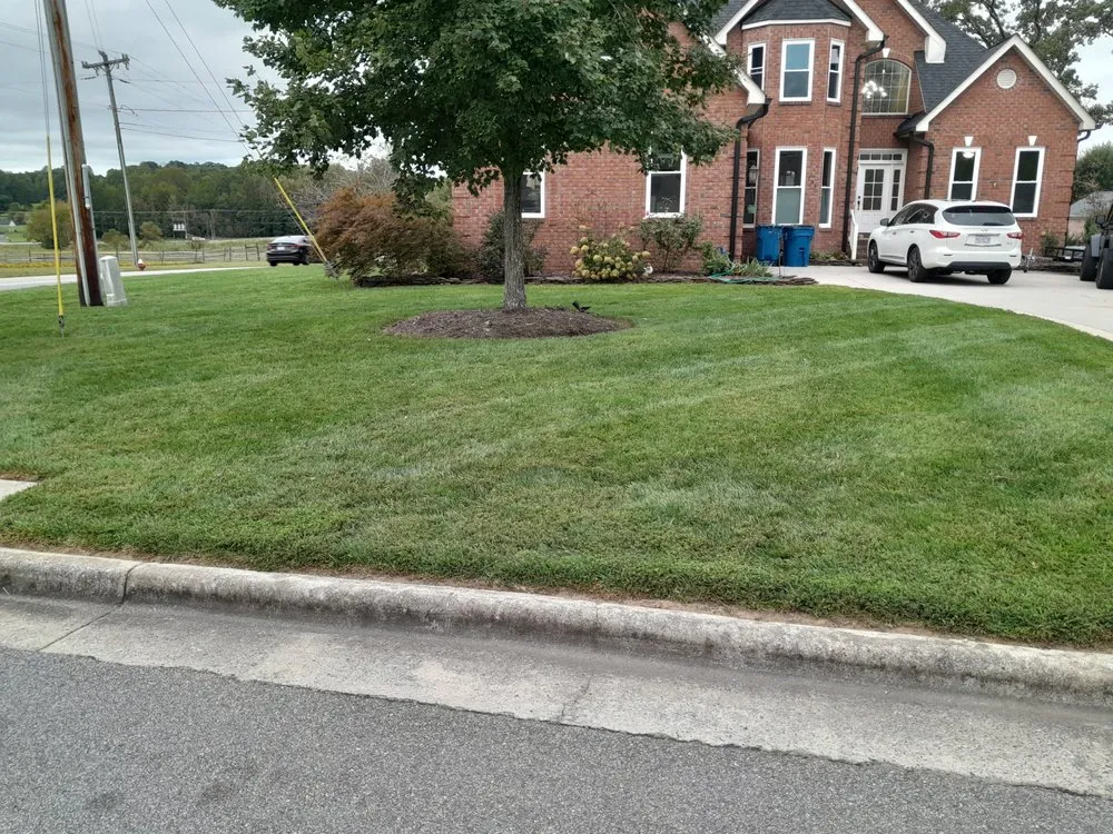 Top-rated residential landscaping in Sophia, NC by Lions lawn services