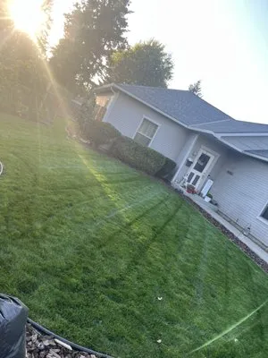 Lions Paradise Lawncare & Landscaping Logo