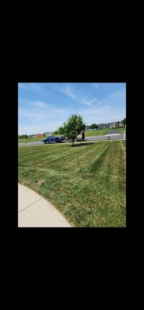 Affordable landscape installation experts serving Harrington, DE - Lions Pride