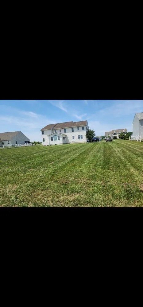 Affordable lawn mowing service experts serving Harrington, DE - Lions Pride