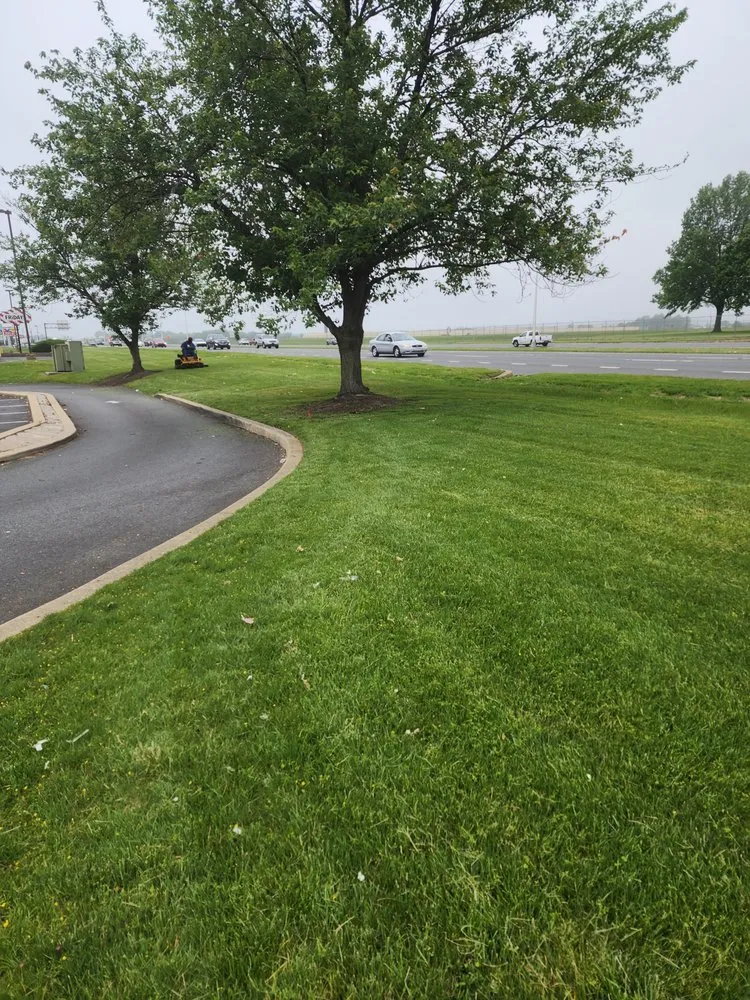 Professional lawn care service in Harrington, DE by Lions Pride