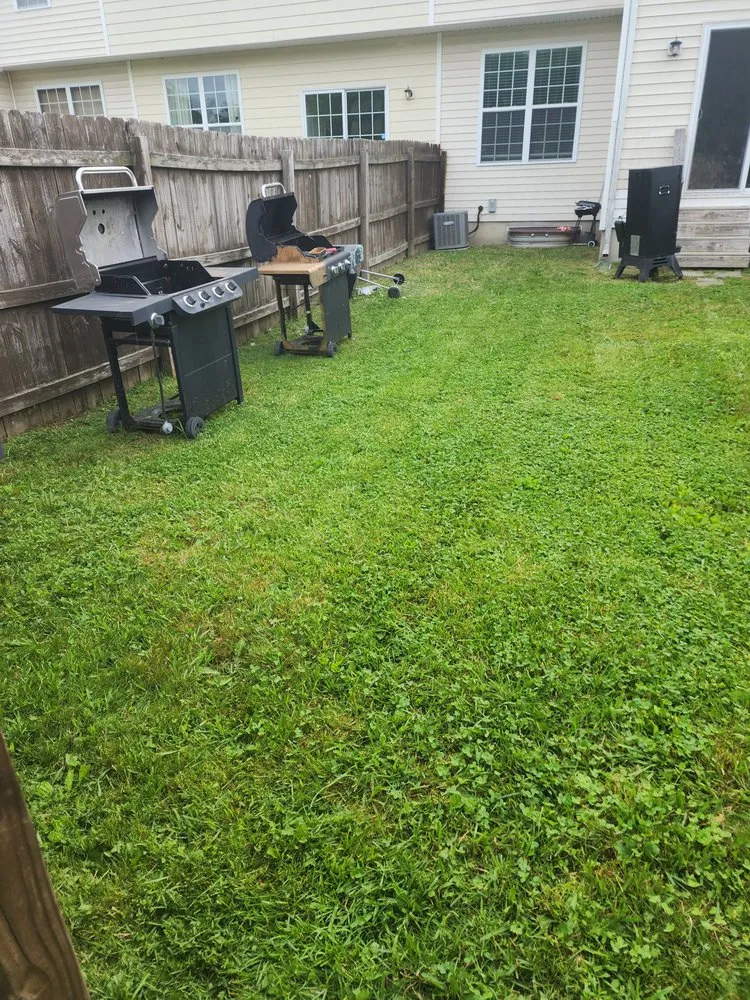 Expert garden landscaping experts serving Harrington, DE - Lions Pride