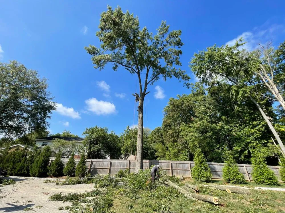 Top-rated yard cleanup service in Middletown, OH by Lions Tree & Landscaping