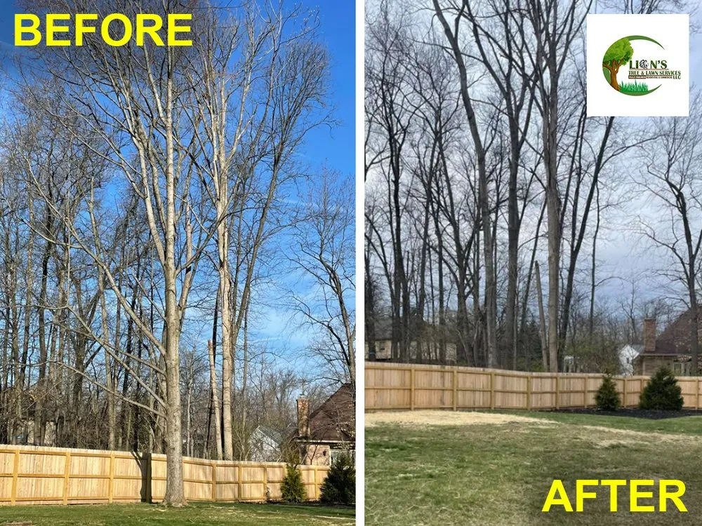 Local garden landscaping in Middletown, OH - Lions Tree & Landscaping