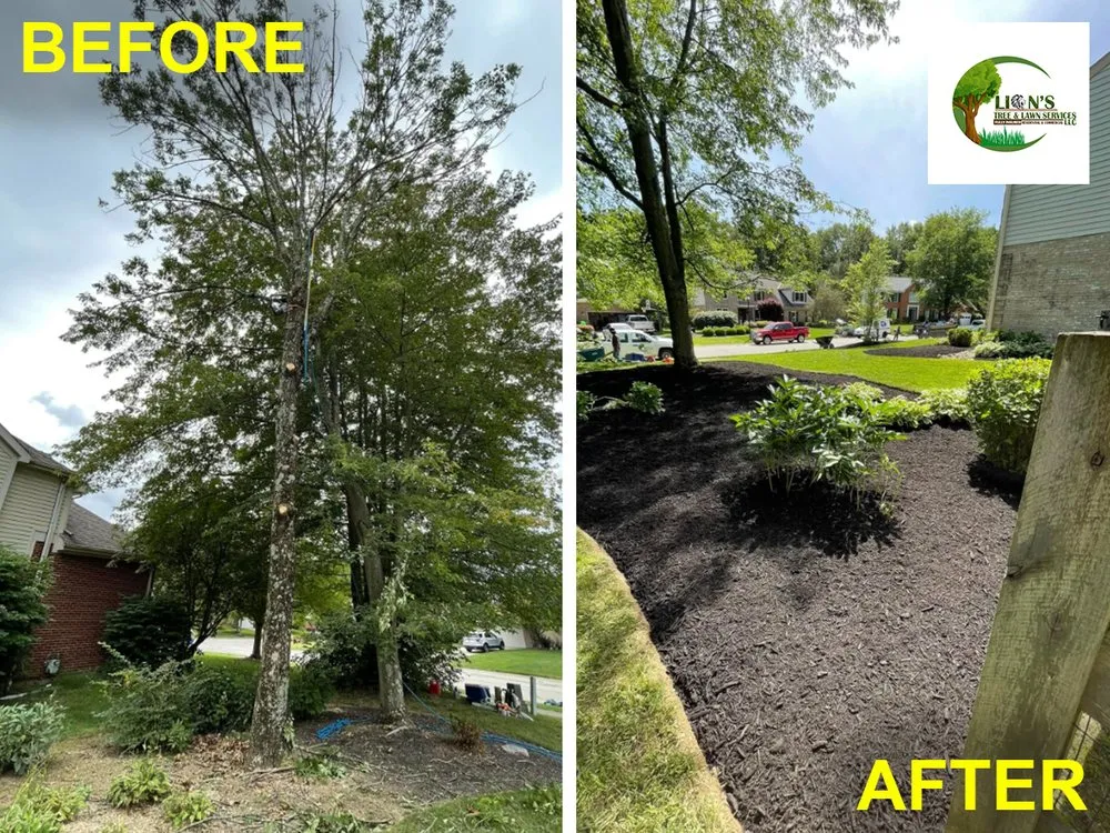 Reliable landscape installation with custom design across Middletown, OH - Lions Tree & Landscaping