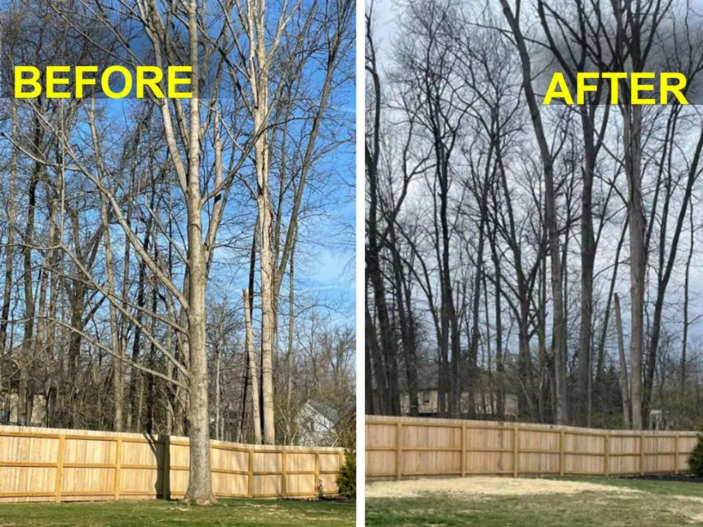 Expert landscaping services experts serving Middletown, OH - Lions Tree & Landscaping