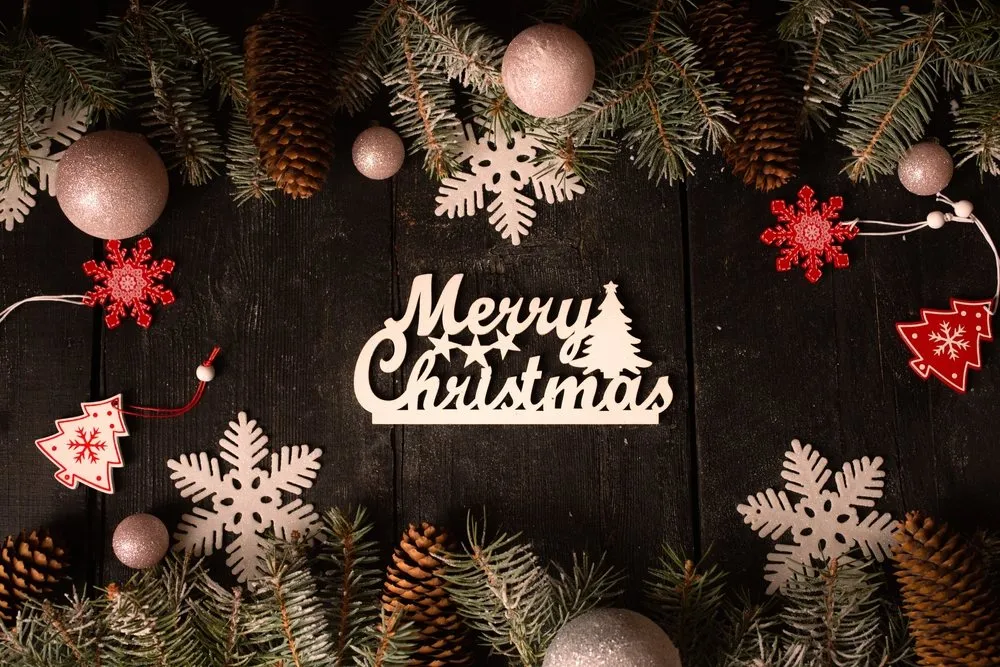 Local lawn care service in Middletown, OH - Lions Tree & Landscaping