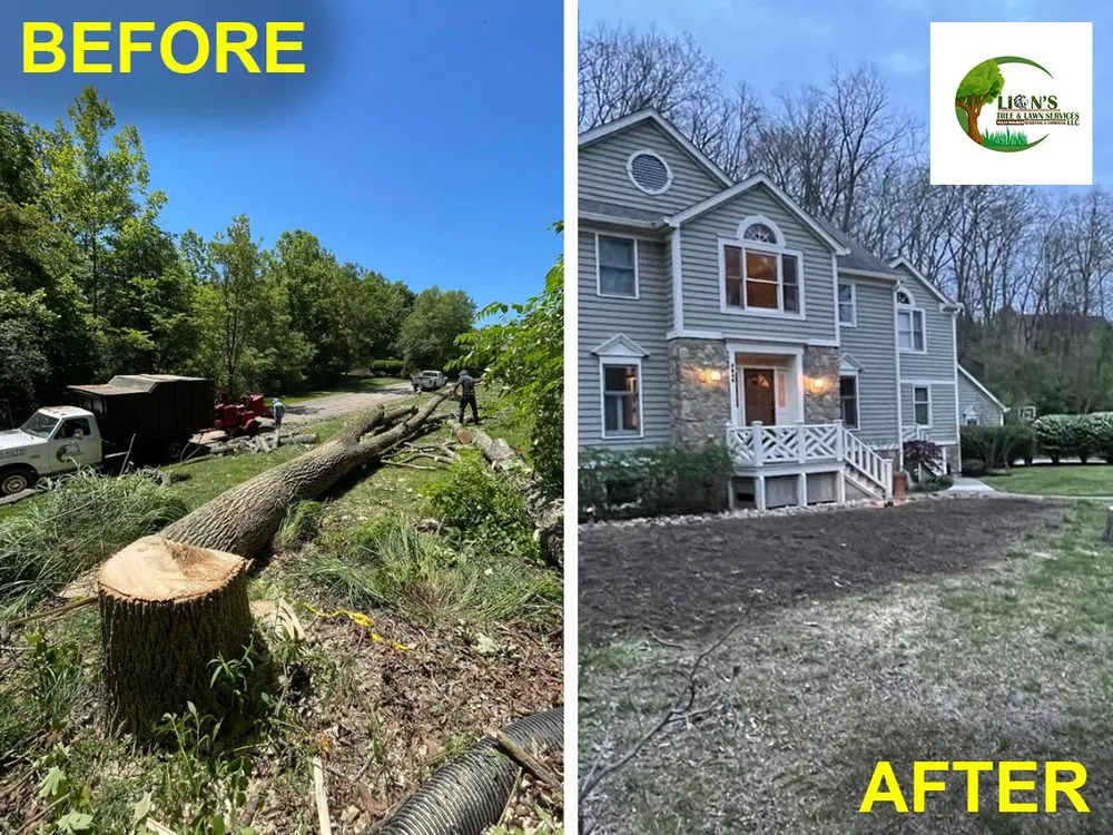 Affordable garden landscaping for year-round maintenance across Middletown, OH - Lions Tree & Landscaping