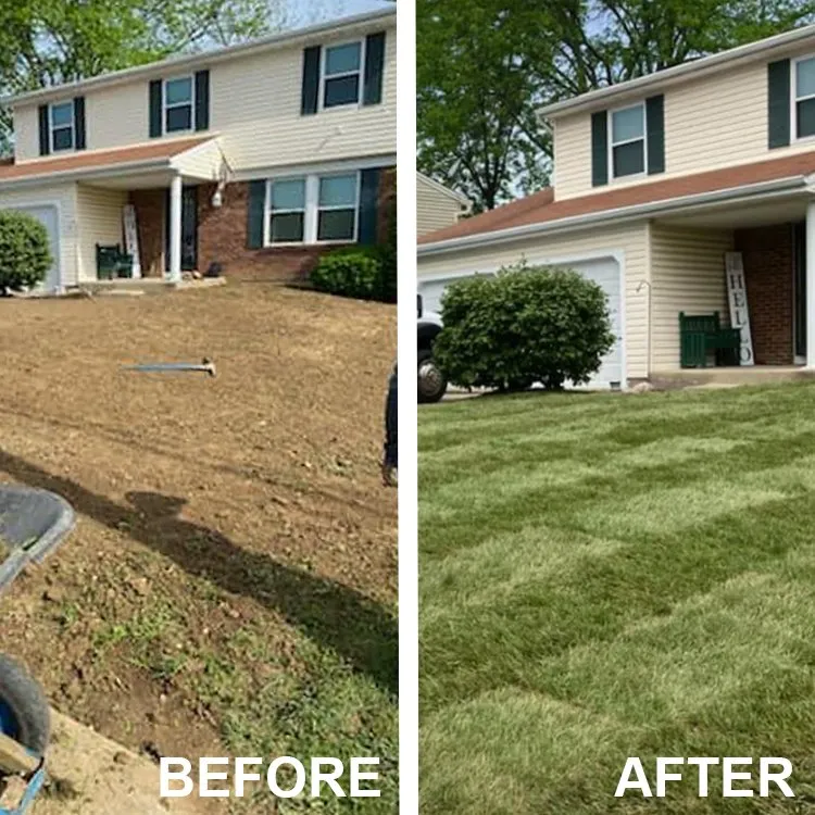 Custom yard maintenance experts serving Middletown, OH - Lions Tree & Landscaping