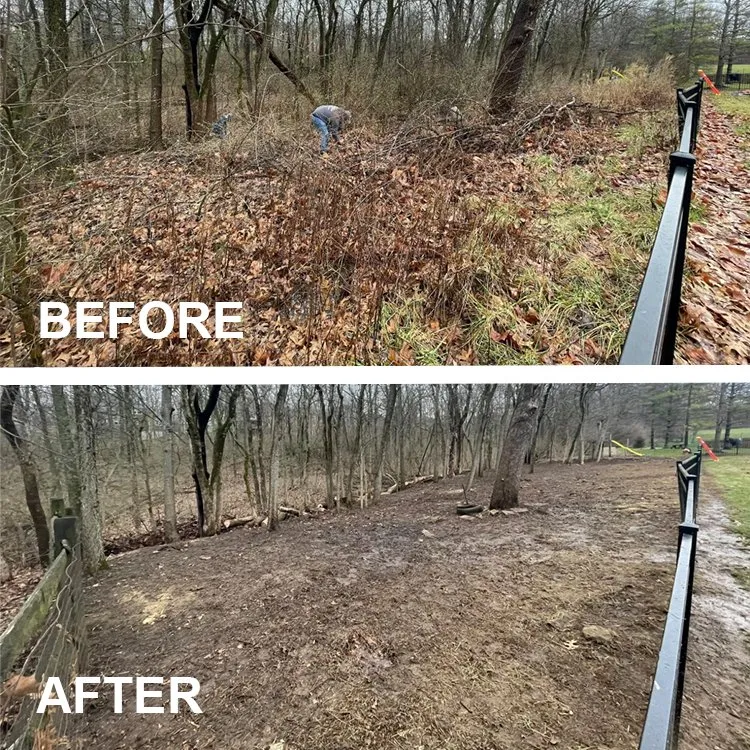 Professional landscaping services experts serving Middletown, OH - Lions Tree & Landscaping