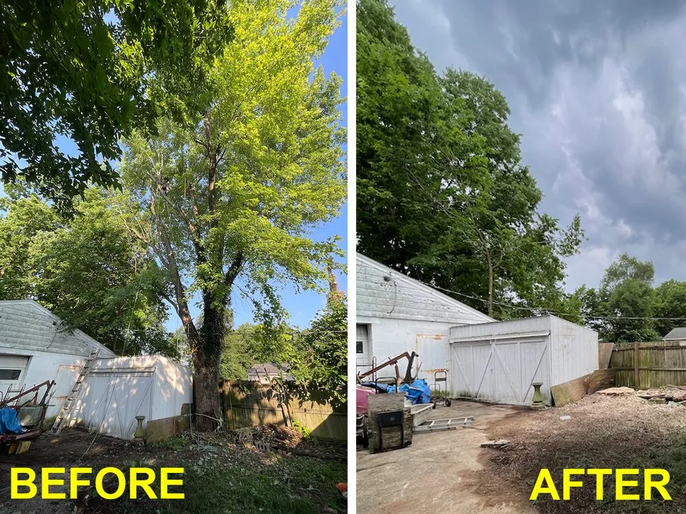 Affordable landscape design for outdoor upgrades in Middletown, OH by Lions Tree & Landscaping