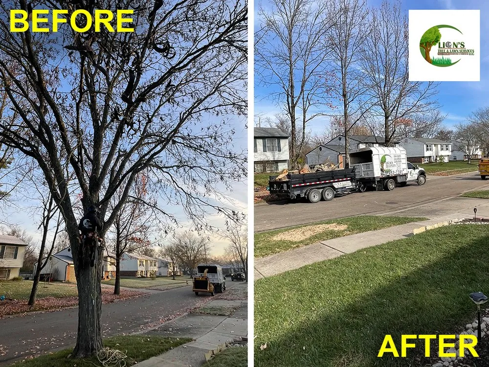 Reliable outdoor landscaping with custom design across Middletown, OH - Lions Tree & Landscaping