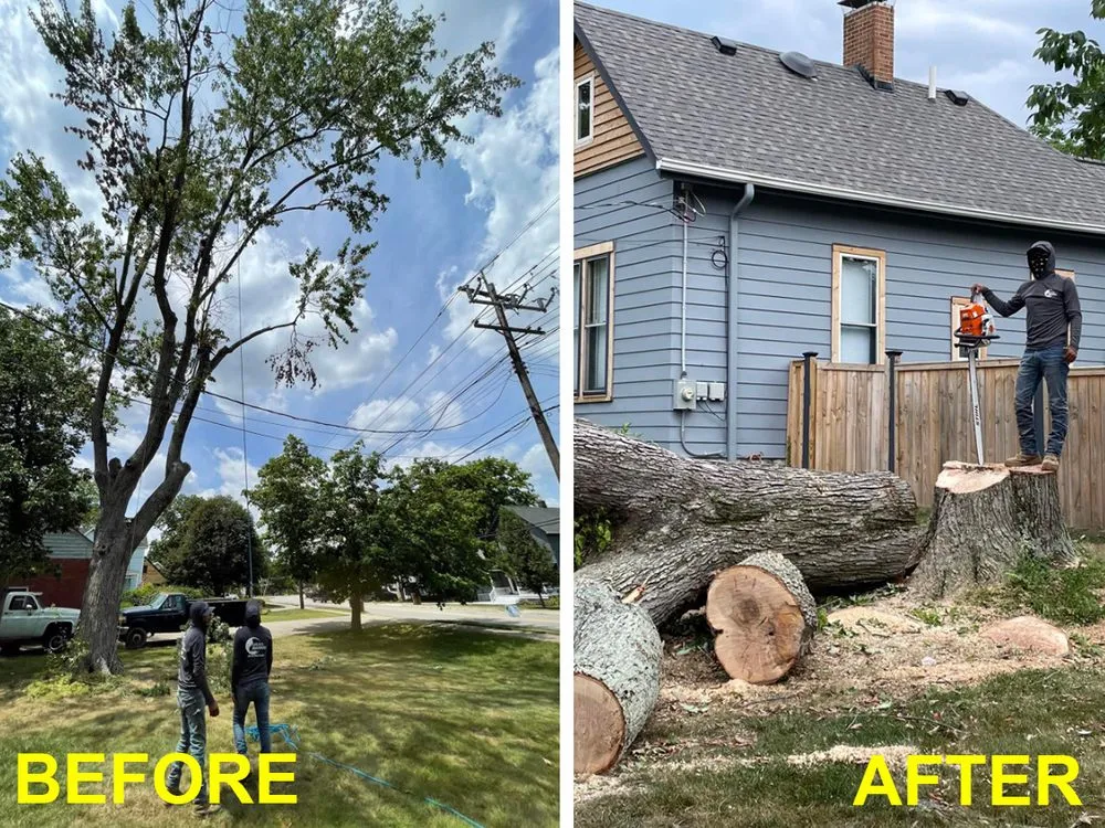 Reliable yard maintenance experts serving Middletown, OH - Lions Tree & Landscaping