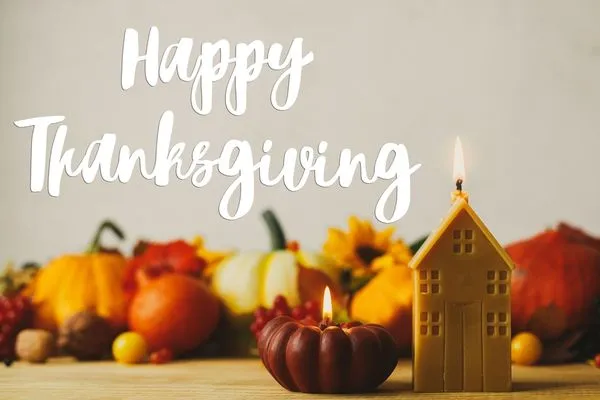 Lions Tree & Landscaping