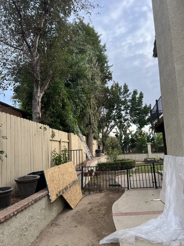 Professional yard cleanup service experts serving San Bernardino, CA - Lio’s Tree Service