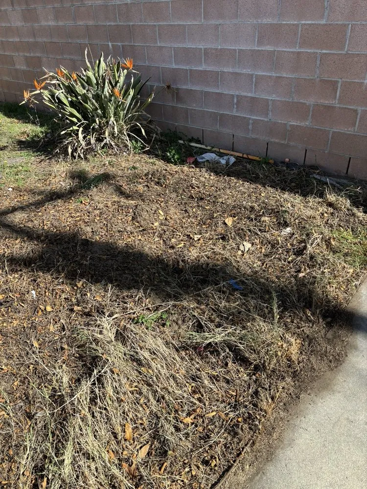 Top-rated garden landscaping experts serving San Bernardino, CA - Lio’s Tree Service