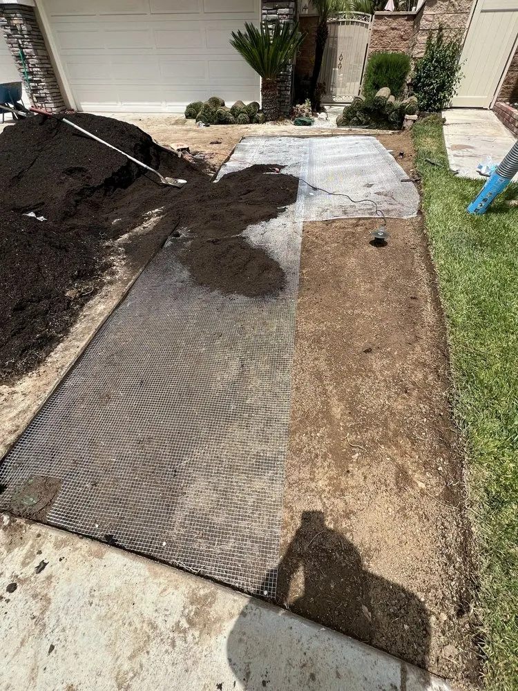Custom lawn care service for outdoor upgrades in San Bernardino, CA by Lio’s Tree Service