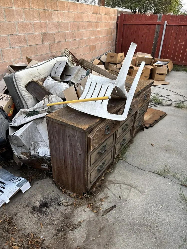 Top-rated yard cleanup service experts serving San Bernardino, CA - Lio’s Tree Service