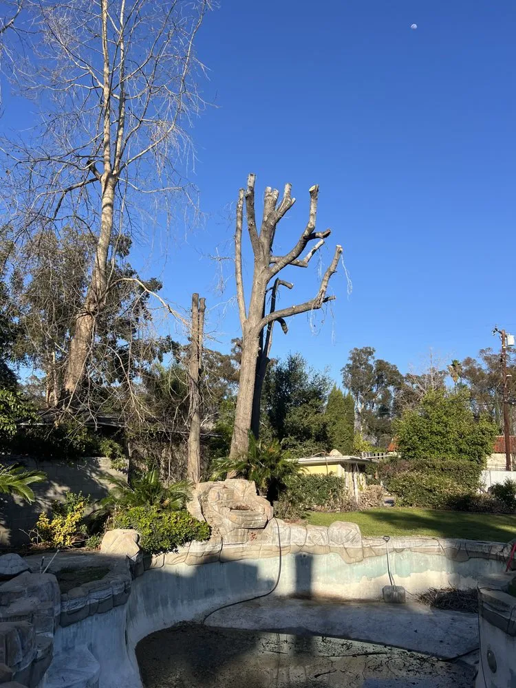 Professional lawn mowing service for residential properties across San Bernardino, CA - Lio’s Tree Service