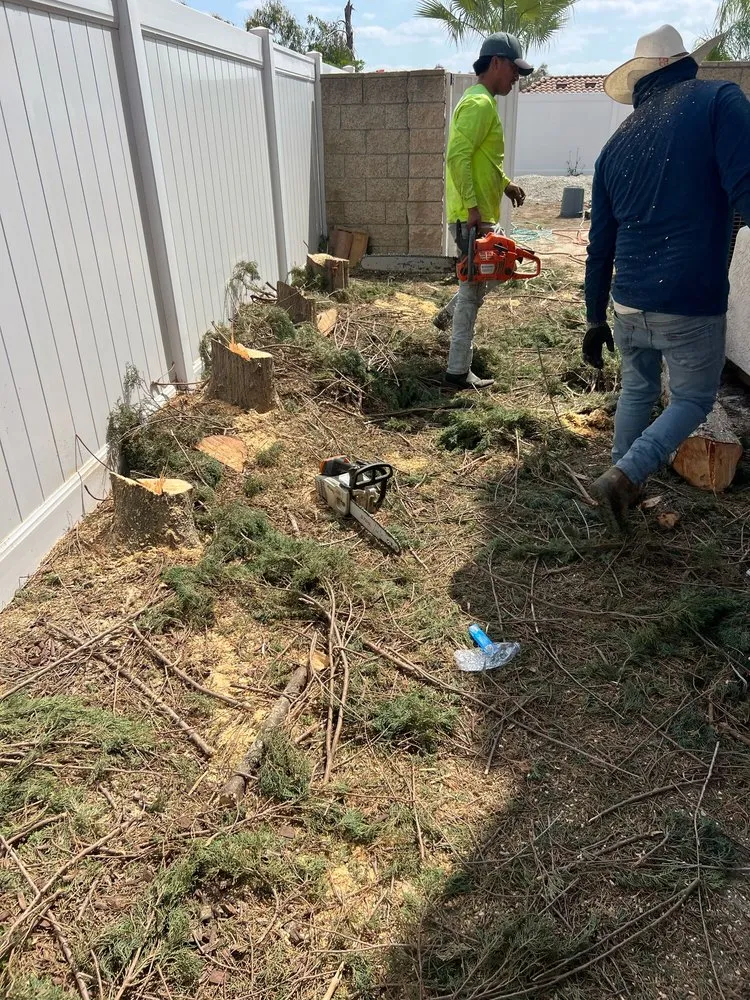 Local residential landscaping with custom design in San Bernardino, CA by Lio’s Tree Service
