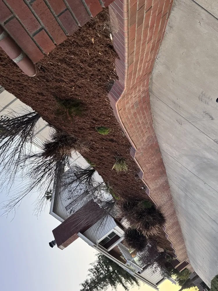 Top-rated outdoor landscaping experts serving San Bernardino, CA - Lio’s Tree Service