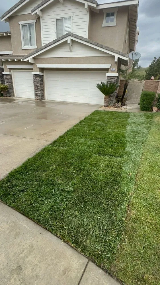 Expert landscape installation for homes across San Bernardino, CA - Lio’s Tree Service