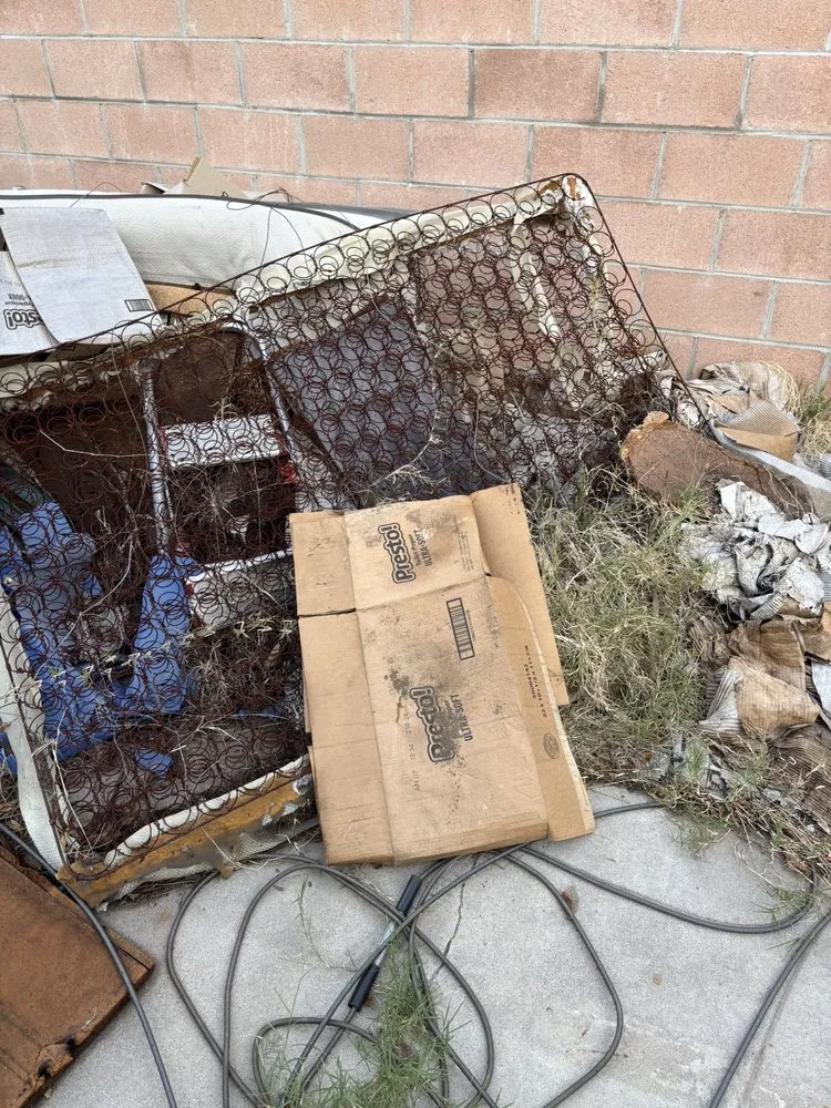 Top-rated lawn mowing service experts serving San Bernardino, CA - Lio’s Tree Service