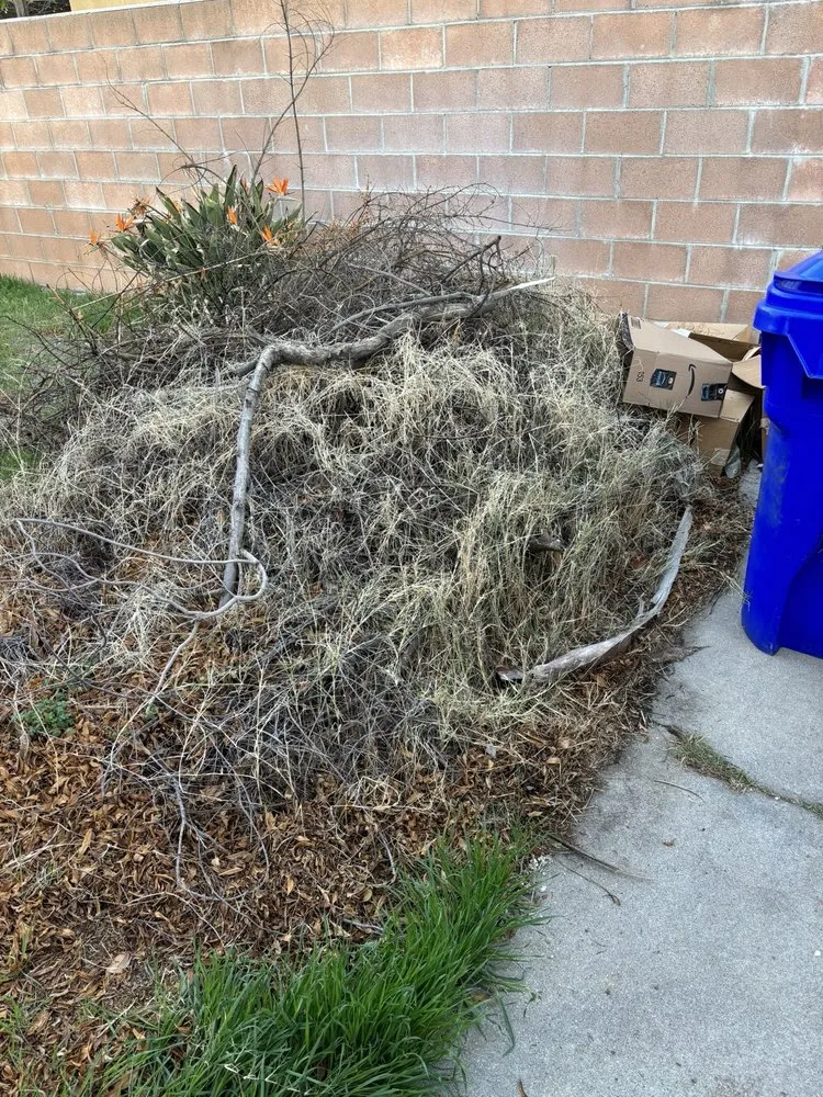 Professional landscape installation in San Bernardino, CA by Lio’s Tree Service