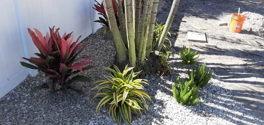 Expert outdoor landscaping in Tampa Bay, FL by Lipert Family Landscapes