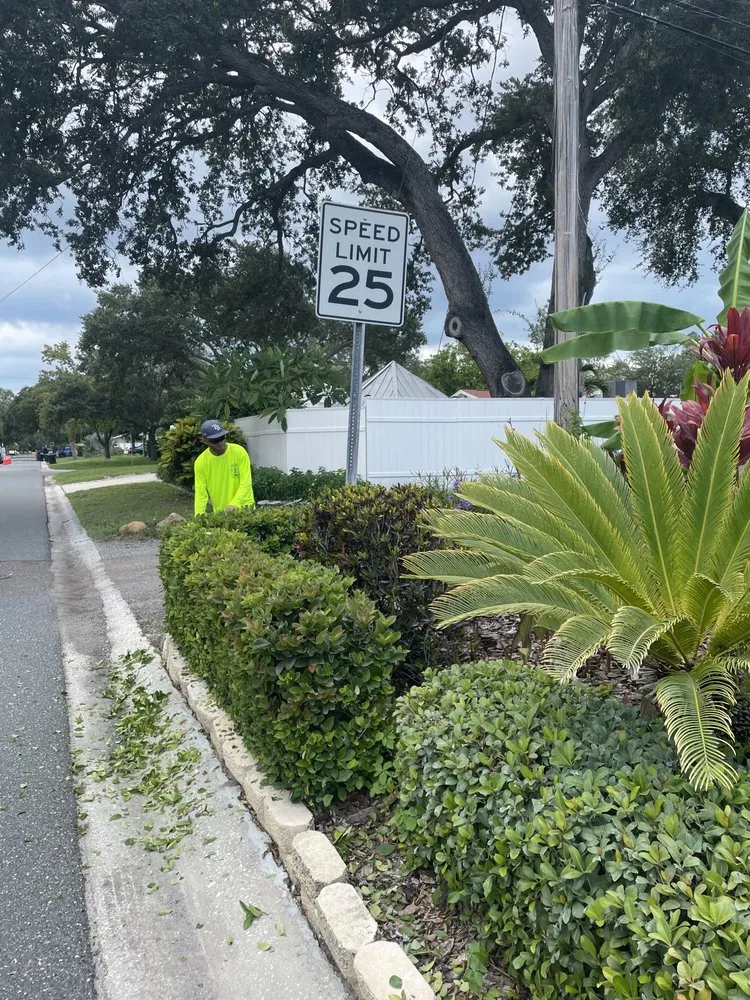 Top-rated residential landscaping for beautiful yards in Tampa Bay, FL by Lipert Family Landscapes